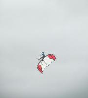 Chilling on my leading edge. by K.L